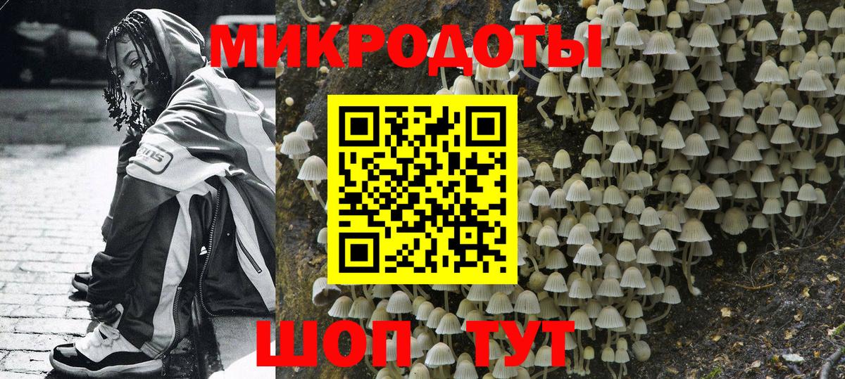 Псилоцибиновые грибы Psilocybine cubensis Кирово-Чепецк