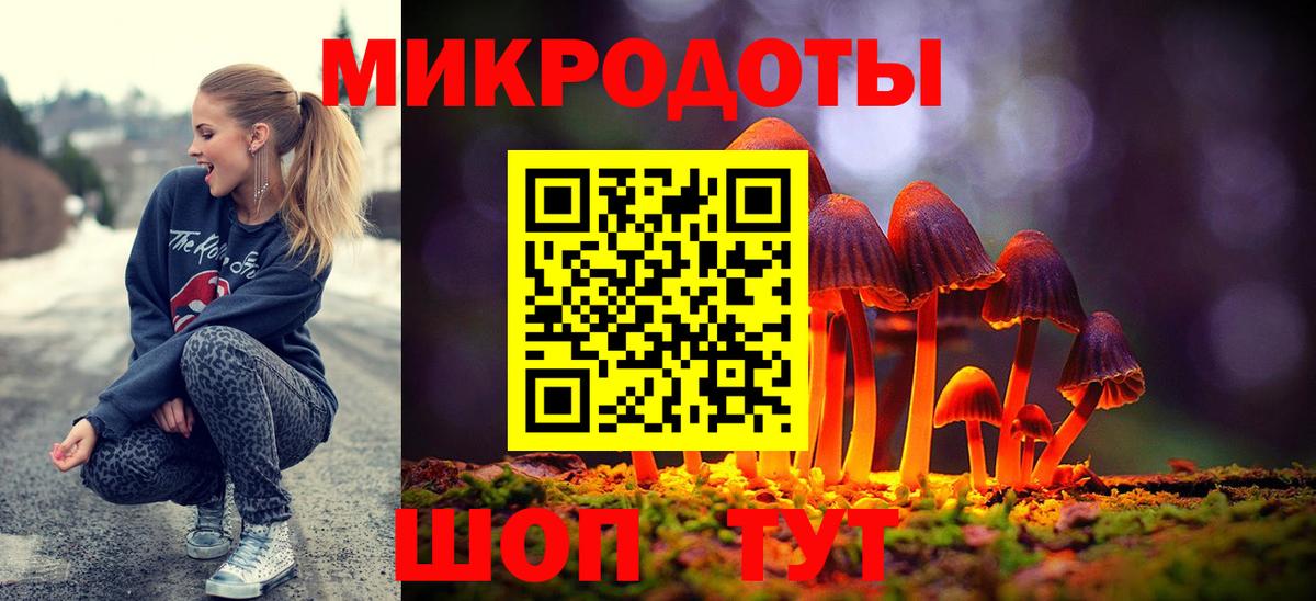 Кирово-Чепецк  Галлюциногенные грибы Psilocybine cubensis  Вход с VPN 